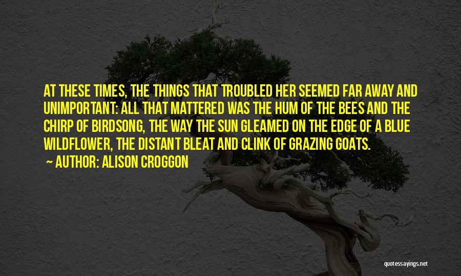 The Sun And Happiness Quotes By Alison Croggon