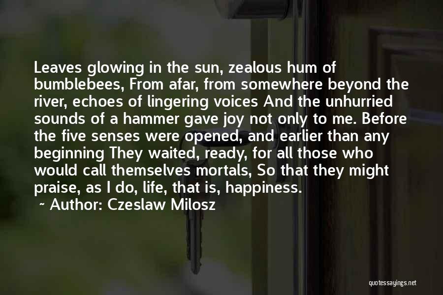 The Sun And Happiness Quotes By Czeslaw Milosz