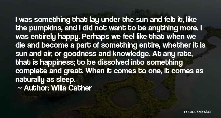 The Sun And Happiness Quotes By Willa Cather