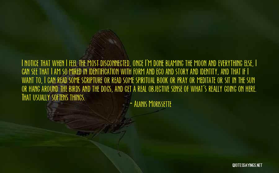 The Sun And Moon Quotes By Alanis Morissette
