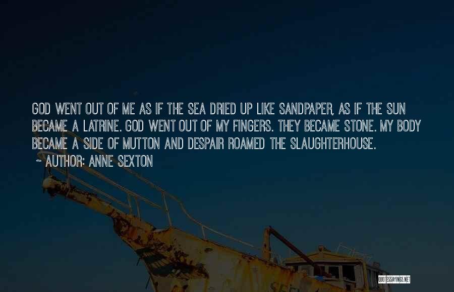 The Sun And Sea Quotes By Anne Sexton