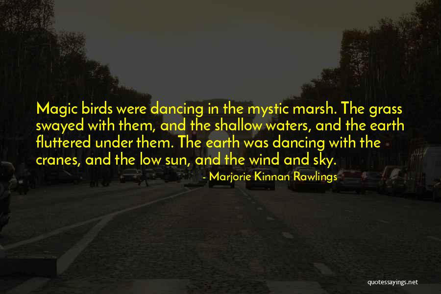 The Sun And Sky Quotes By Marjorie Kinnan Rawlings