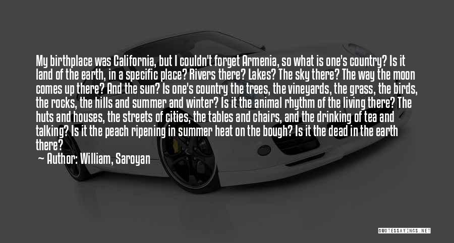 The Sun And Sky Quotes By William, Saroyan The Sun And Sky Quotes By William, Saroyan