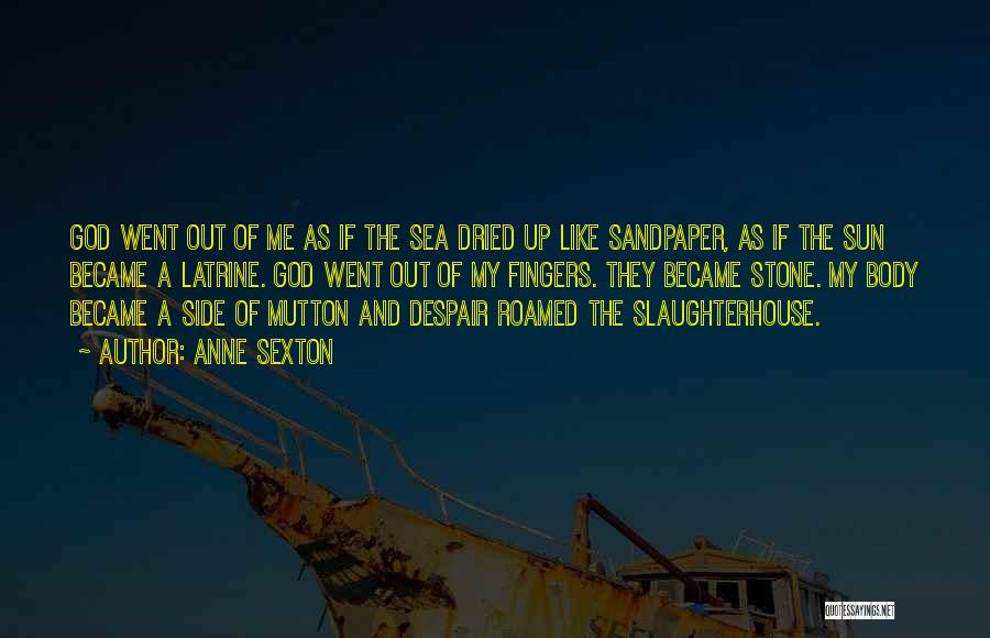 The Sun And The Sea Quotes By Anne Sexton