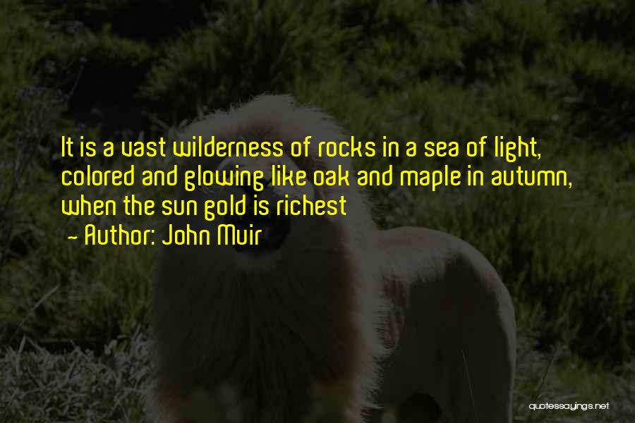 The Sun And The Sea Quotes By John Muir