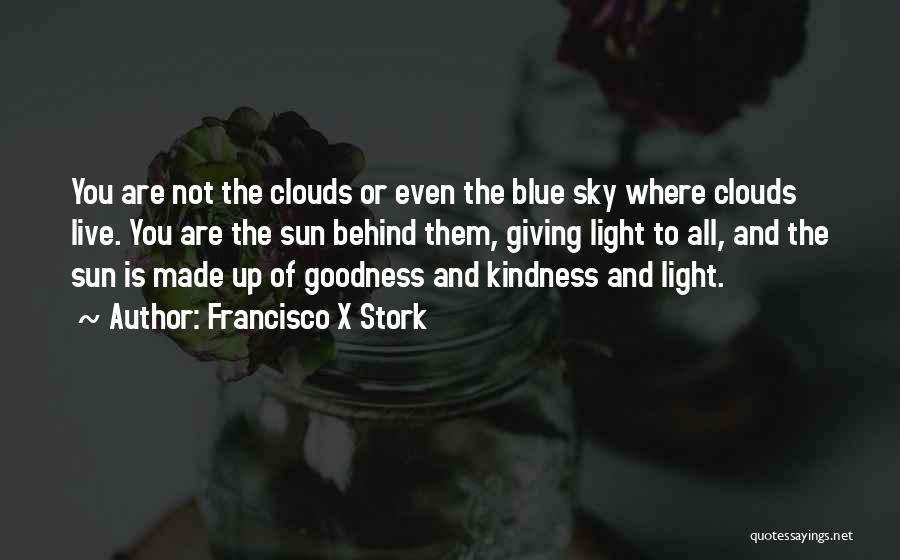 The Sun Behind The Clouds Quotes By Francisco X Stork
