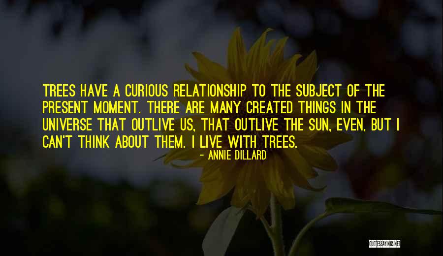 The Sun Created You Quotes By Annie Dillard The Sun Created You Quotes By Annie Dillard