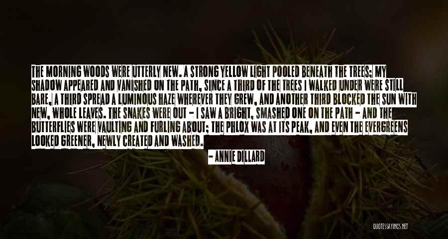 The Sun Created You Quotes By Annie Dillard The Sun Created You Quotes By Annie Dillard