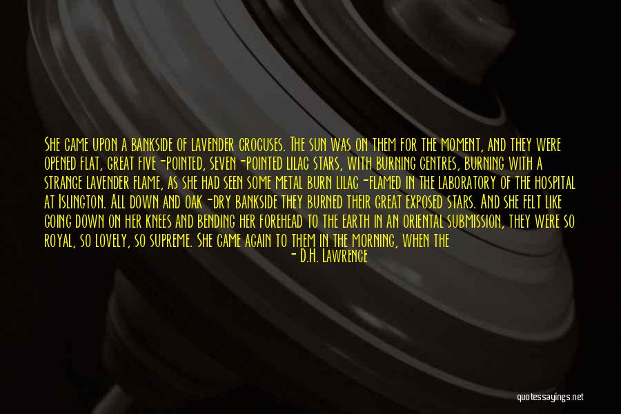 The Sun Going Down Quotes By D.H. Lawrence The Sun Going Down Quotes By D.H. Lawrence