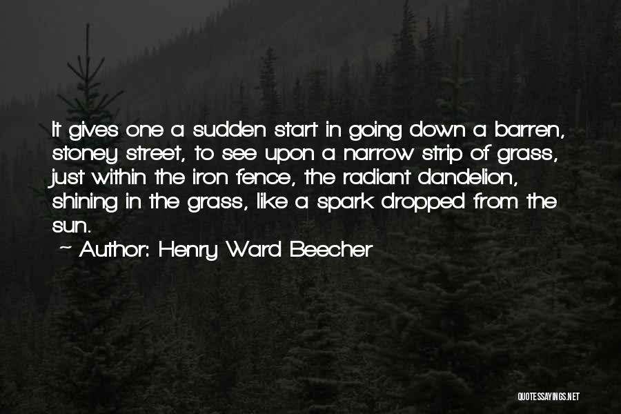 The Sun Going Down Quotes By Henry Ward Beecher