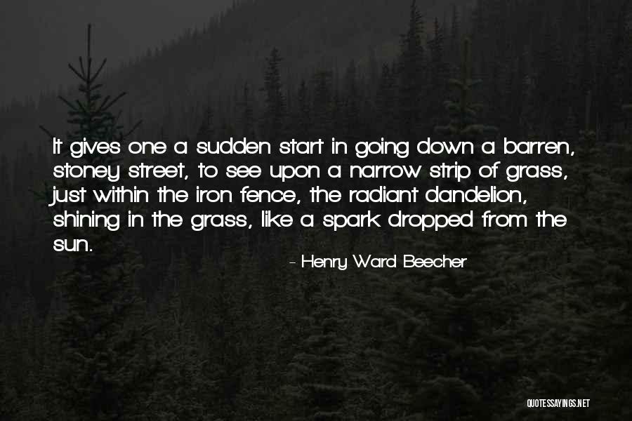 The Sun Going Down Quotes By Henry Ward Beecher