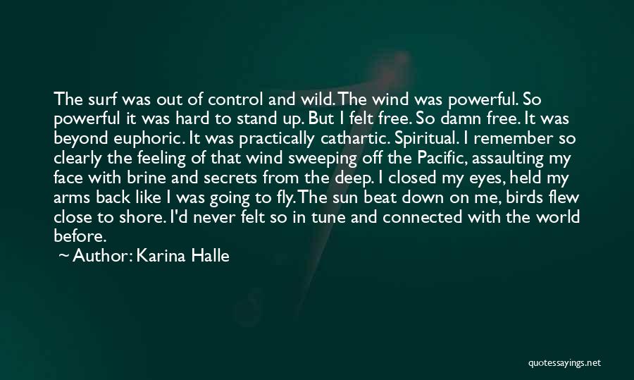 The Sun Going Down Quotes By Karina Halle
