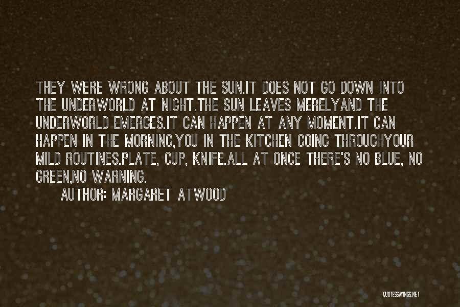 The Sun Going Down Quotes By Margaret Atwood