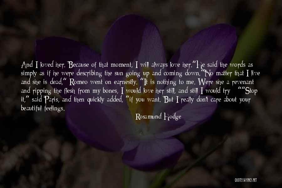 The Sun Going Down Quotes By Rosamund Hodge The Sun Going Down Quotes By Rosamund Hodge