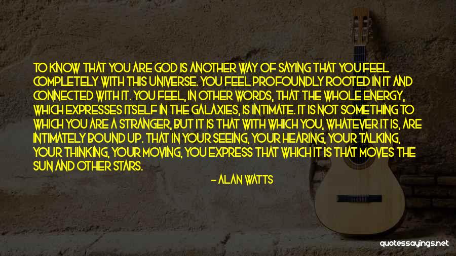 The Sun In The Stranger Quotes By Alan Watts