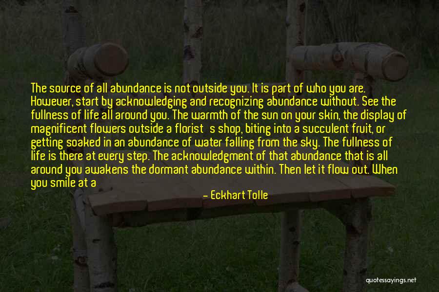 The Sun In The Stranger Quotes By Eckhart Tolle