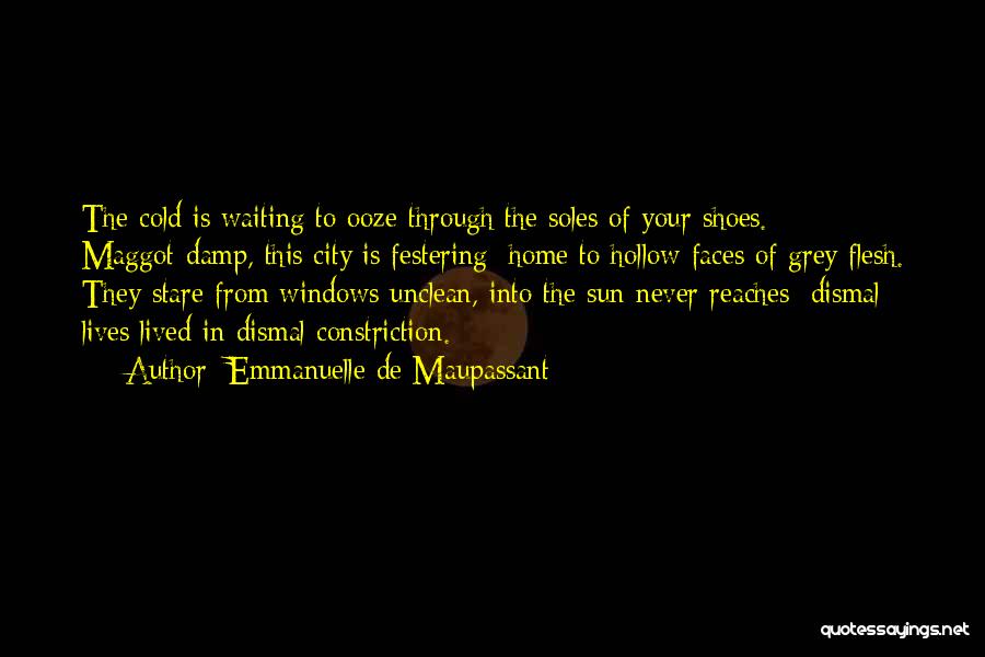 The Sun In Winter Quotes By Emmanuelle De Maupassant