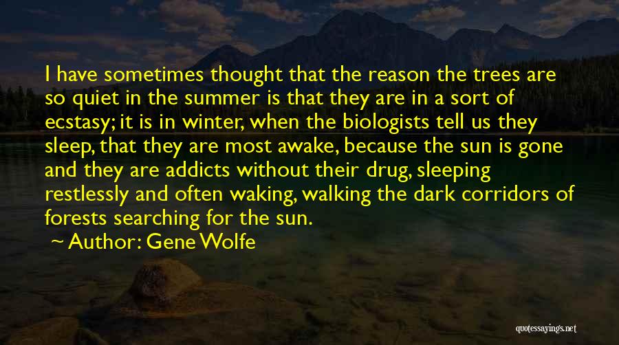 The Sun In Winter Quotes By Gene Wolfe