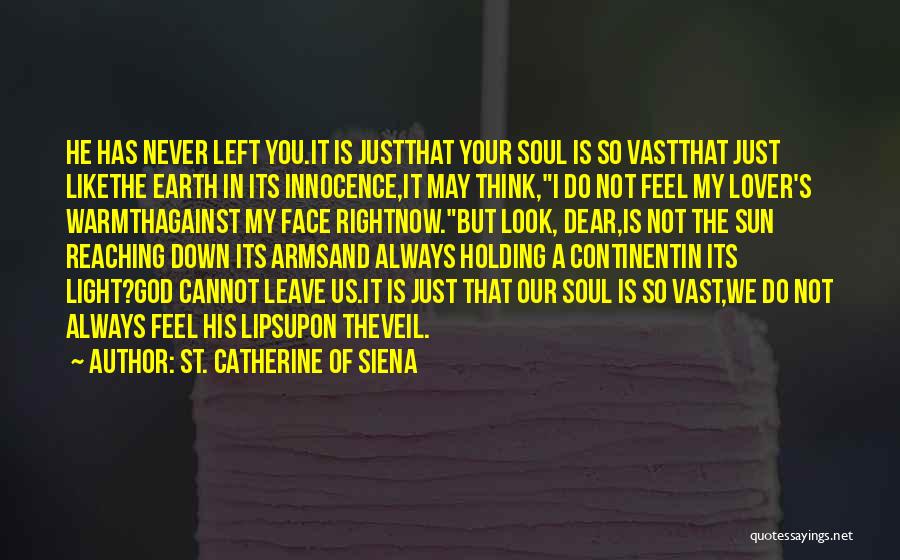 The Sun In Your Face Quotes By St. Catherine Of Siena