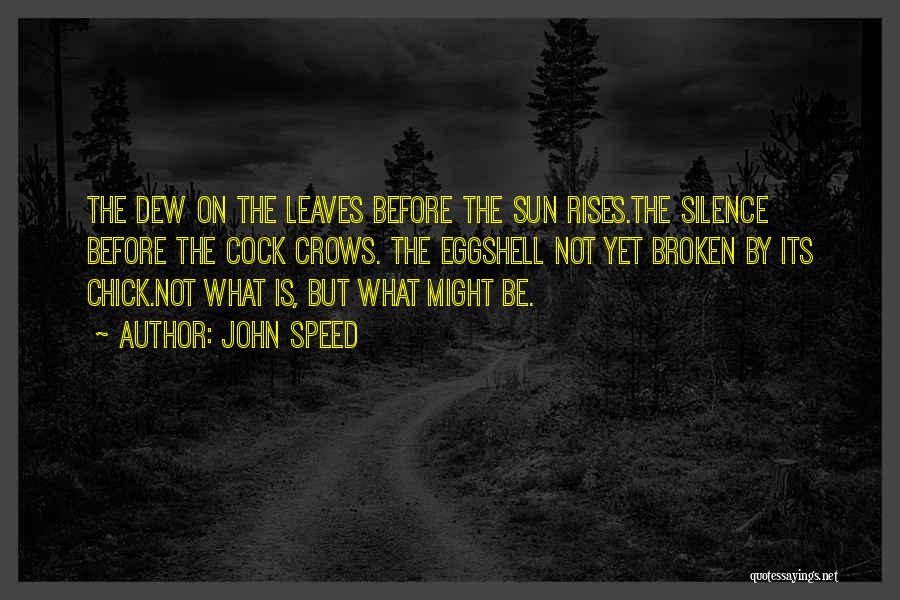 The Sun Rises Quotes By John Speed