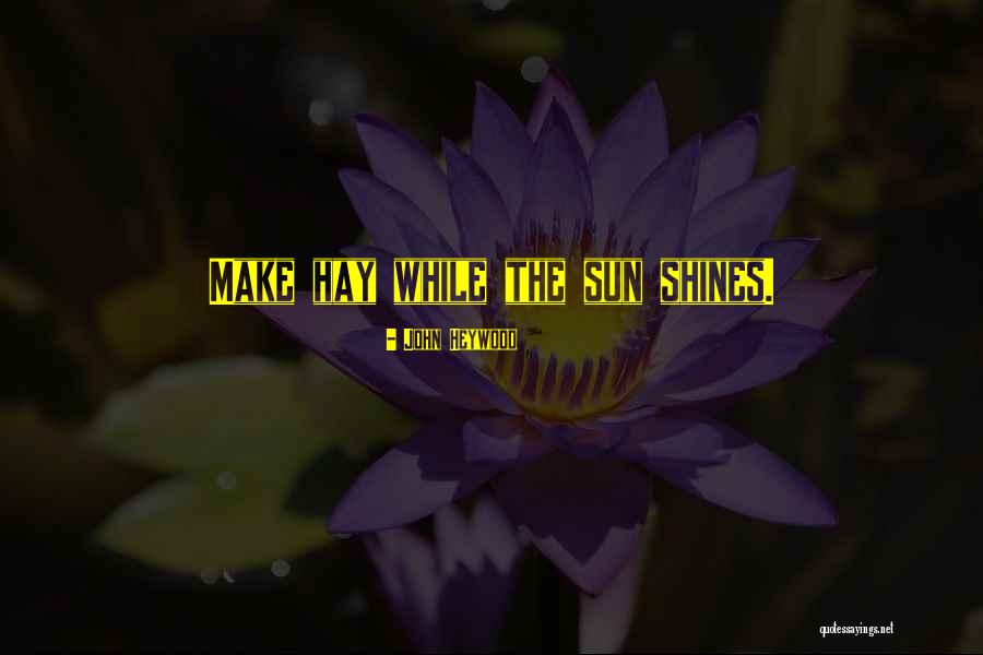 The Sun Shines Quotes By John Heywood