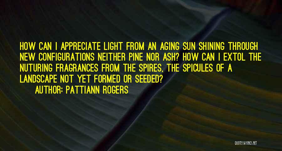 The Sun Shining Through Quotes By Pattiann Rogers