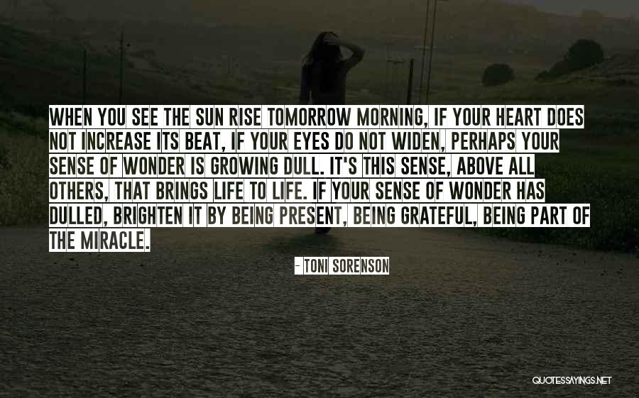 The Sun Will Also Rise Quotes By Toni Sorenson The Sun Will Also Rise Quotes By Toni Sorenson