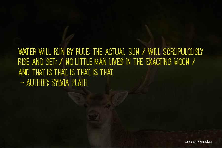 The Sun Will Rise Quotes By Sylvia Plath