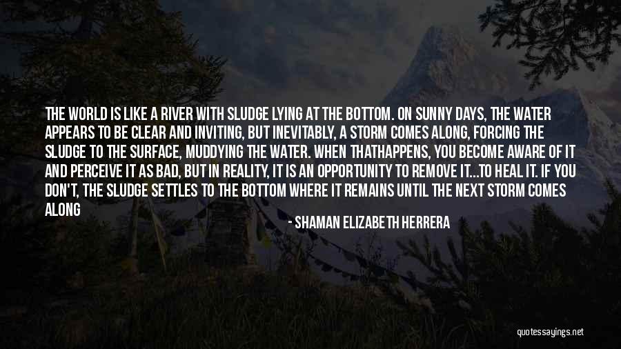 The Sunny Days Quotes By Shaman Elizabeth Herrera