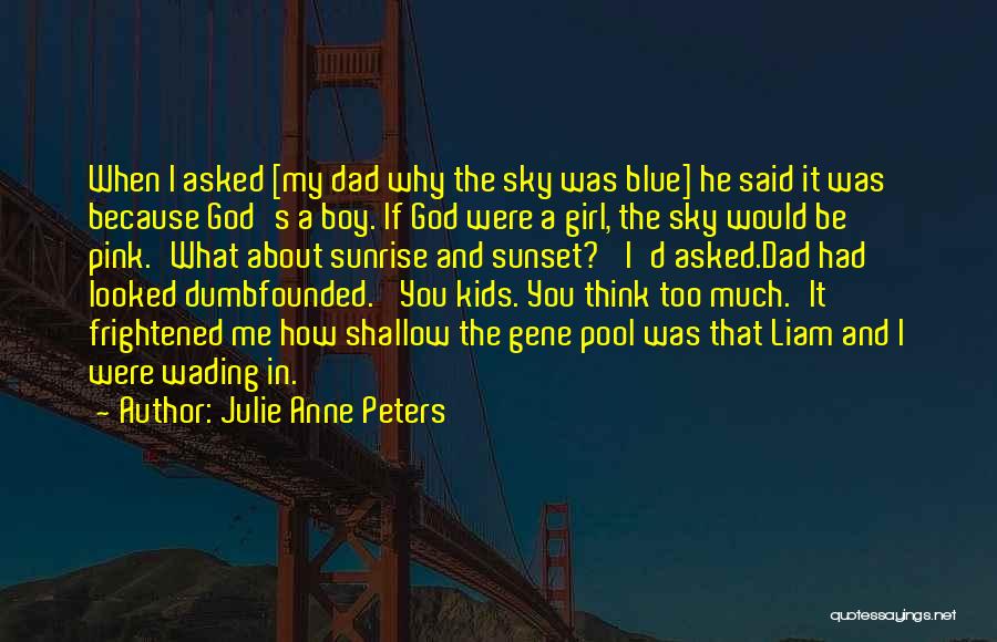 The Sunset And God Quotes By Julie Anne Peters