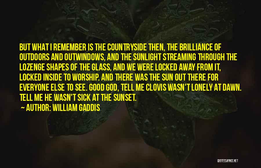The Sunset And God Quotes By William Gaddis