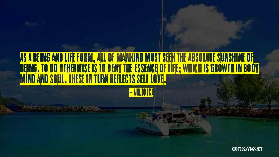 The Sunshine And Love Quotes By Auliq Ice The Sunshine And Love Quotes By Auliq Ice