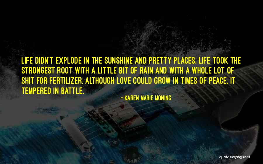 The Sunshine And Love Quotes By Karen Marie Moning The Sunshine And Love Quotes By Karen Marie Moning