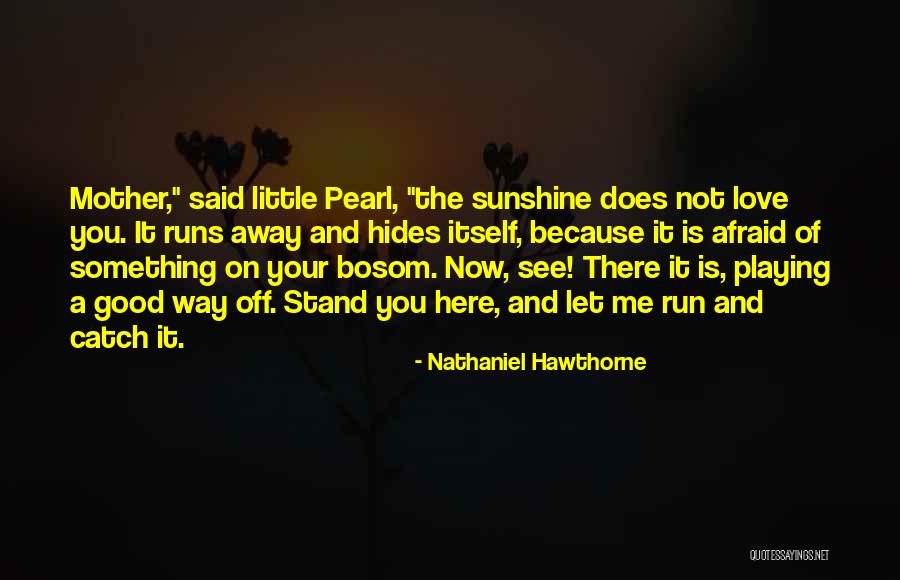 The Sunshine And Love Quotes By Nathaniel Hawthorne The Sunshine And Love Quotes By Nathaniel Hawthorne