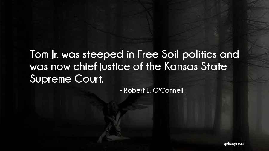 The Supreme Court And Politics Quotes By Robert L. O'Connell The Supreme Court And Politics Quotes By Robert L. O'Connell
