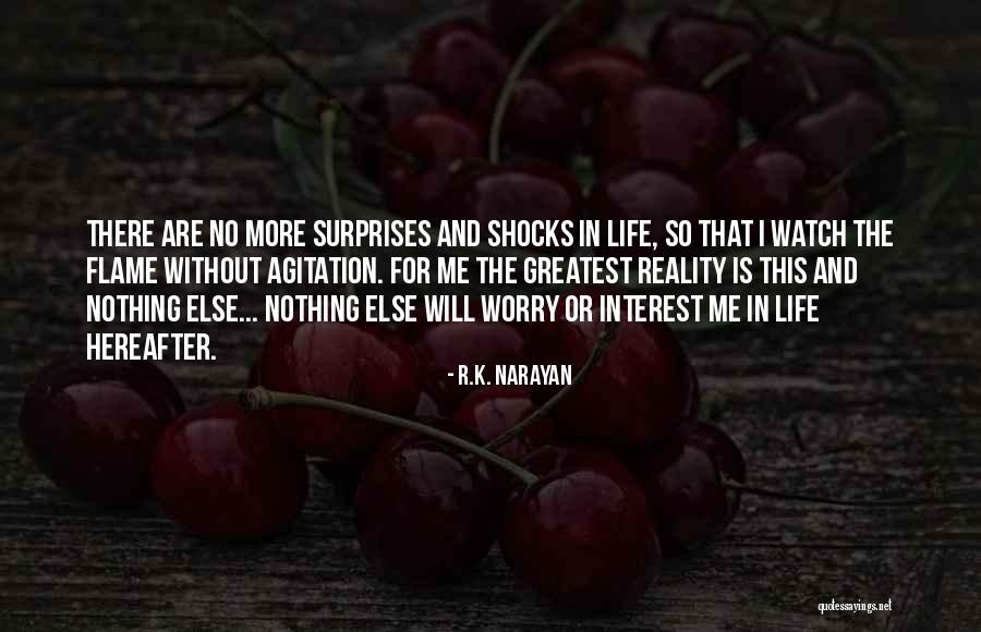 The Surprises In Life Quotes By R.K. Narayan