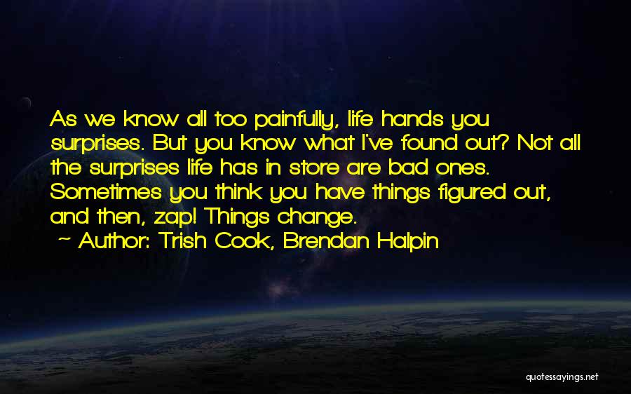 The Surprises In Life Quotes By Trish Cook, Brendan Halpin