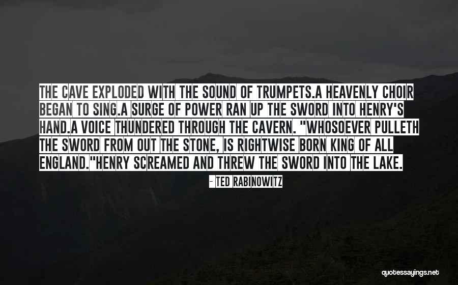 The Sword In The Stone Quotes By Ted Rabinowitz The Sword In The Stone Quotes By Ted Rabinowitz