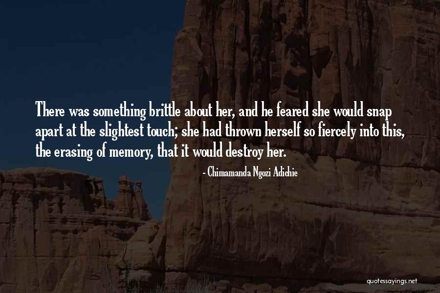 The Tacking Quotes By Chimamanda Ngozi Adichie The Tacking Quotes By Chimamanda Ngozi Adichie