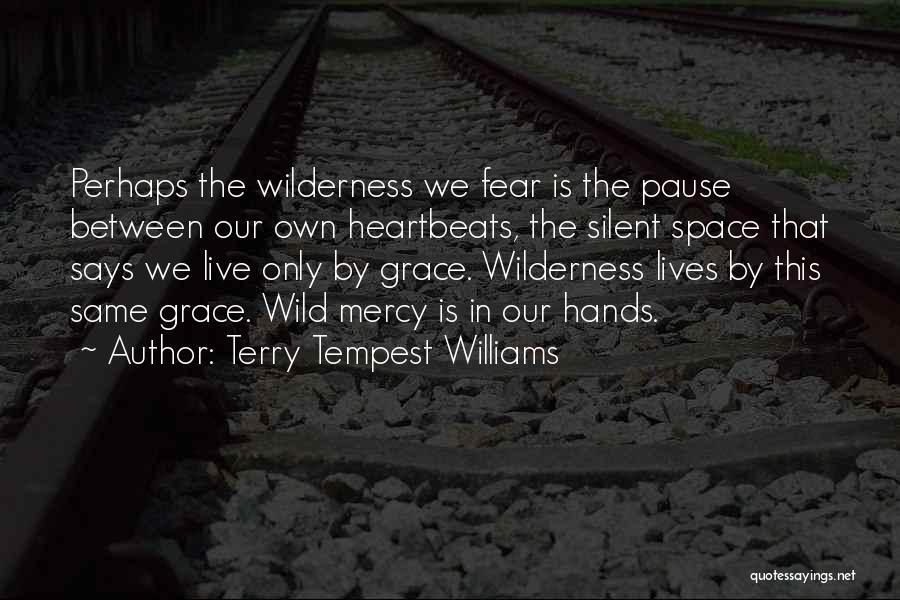 The Tempest Mercy Quotes By Terry Tempest Williams