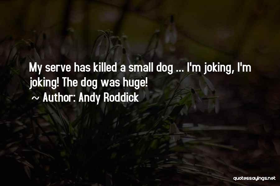 The Tennis Serve Quotes By Andy Roddick