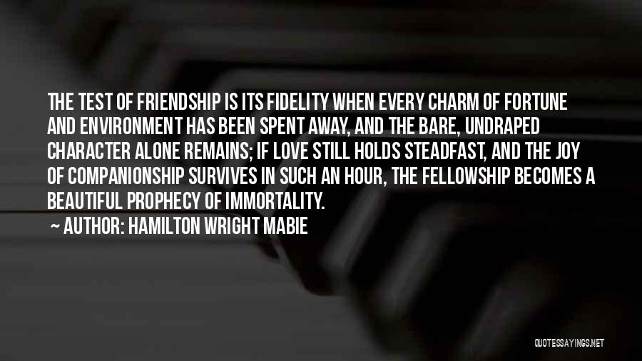 The Test Of Friendship Quotes By Hamilton Wright Mabie