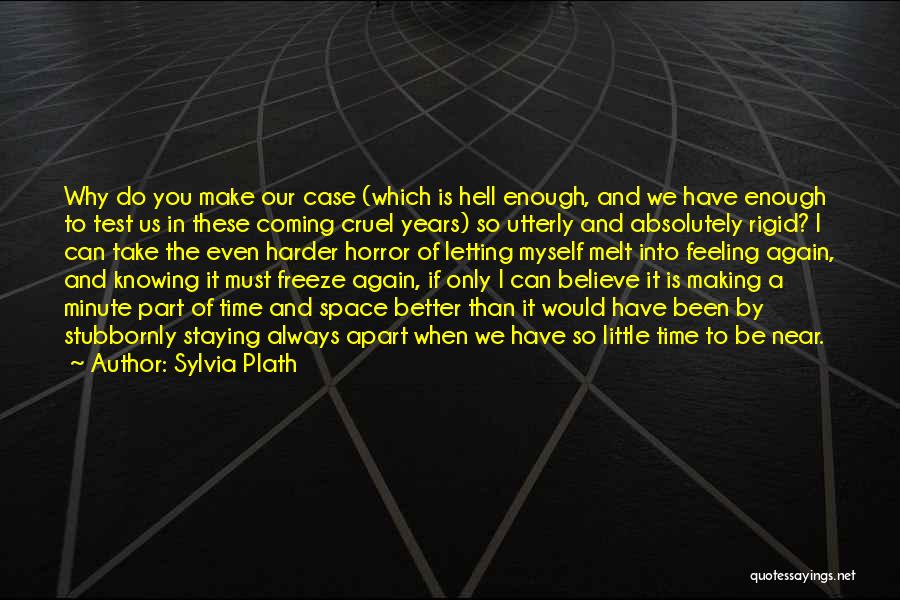 The Test Of Time Quotes By Sylvia Plath