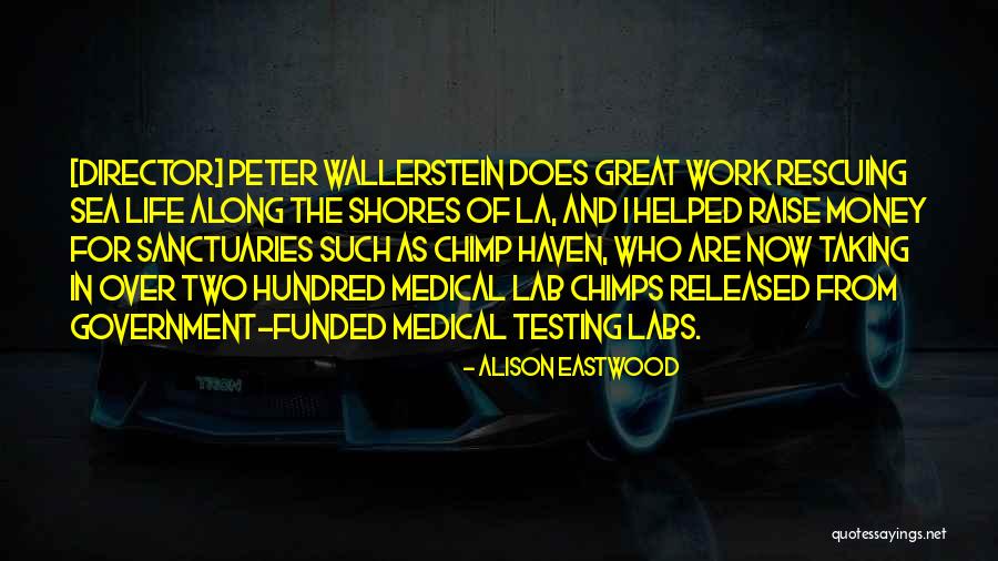 The Testing Quotes By Alison Eastwood The Testing Quotes By Alison Eastwood