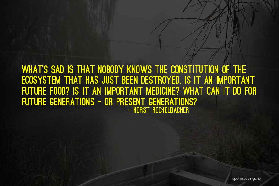 The The Future Quotes By Horst Rechelbacher The The Future Quotes By Horst Rechelbacher