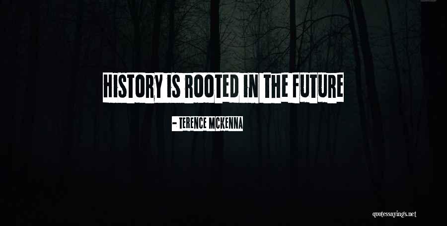 The The Future Quotes By Terence McKenna