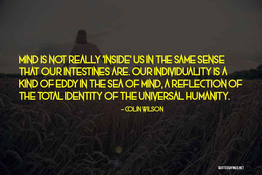 The The Sea Quotes By Colin Wilson The The Sea Quotes By Colin Wilson