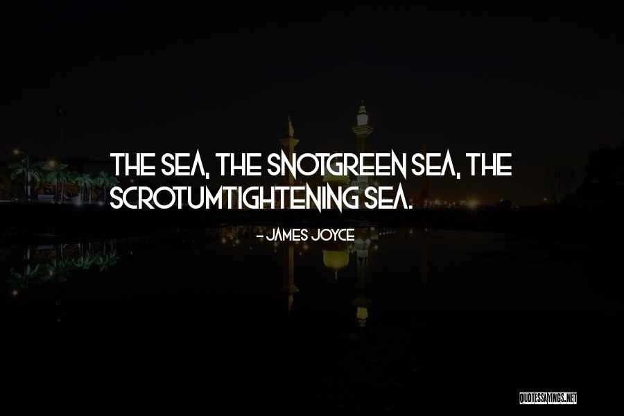 The The Sea Quotes By James Joyce