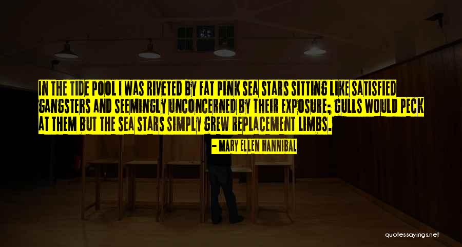 The The Sea Quotes By Mary Ellen Hannibal The The Sea Quotes By Mary Ellen Hannibal