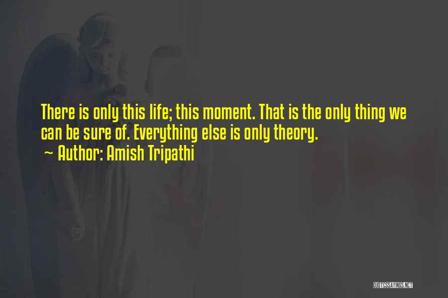 The Theory Of Everything Quotes By Amish Tripathi